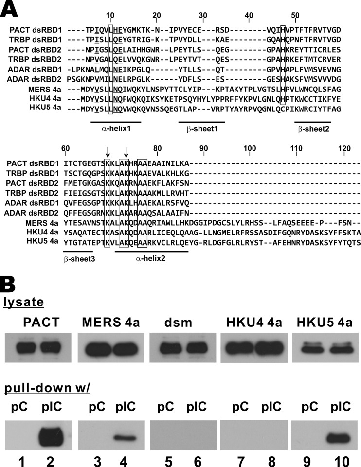 FIG 1