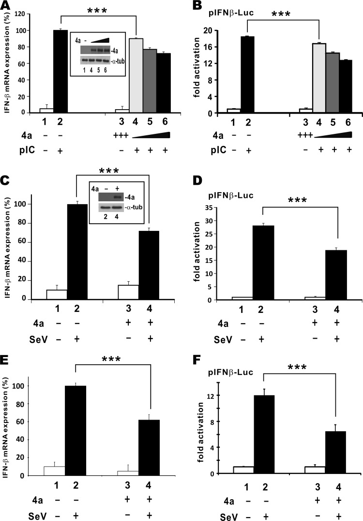 FIG 2