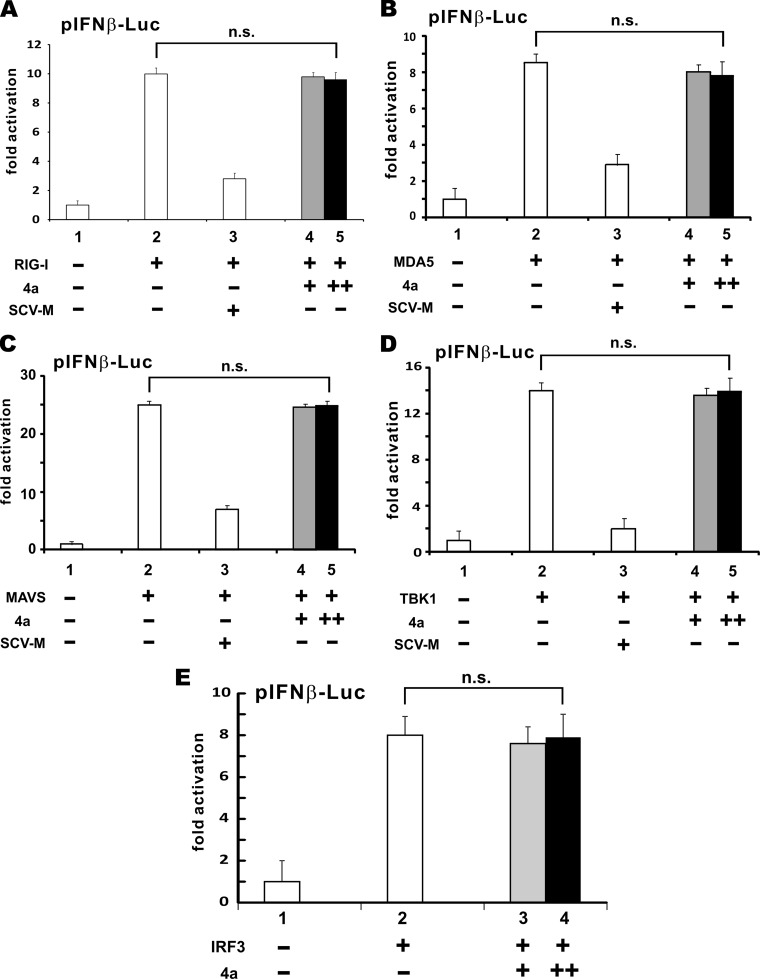 FIG 4