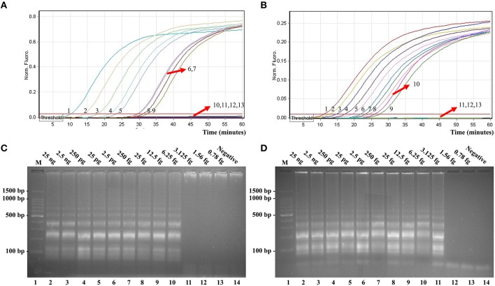 Figure 6