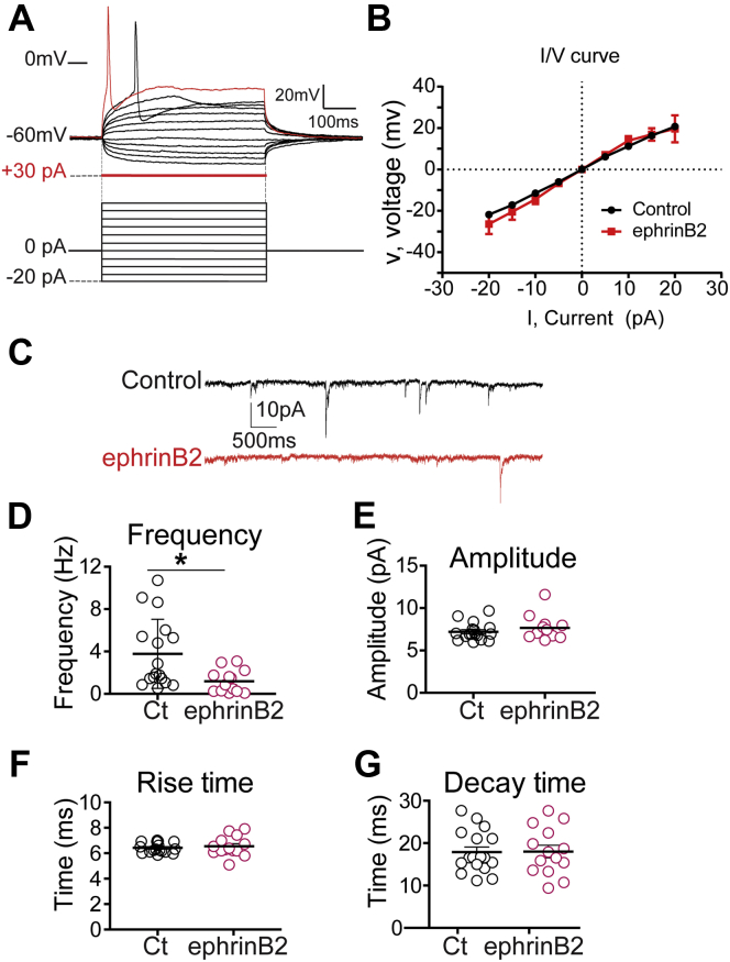 Figure 6