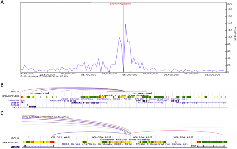 Figure 3.