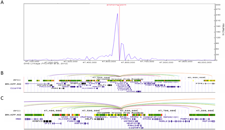 Figure 4.