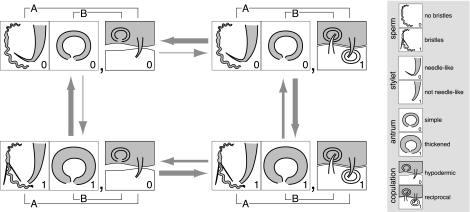 Fig. 3.