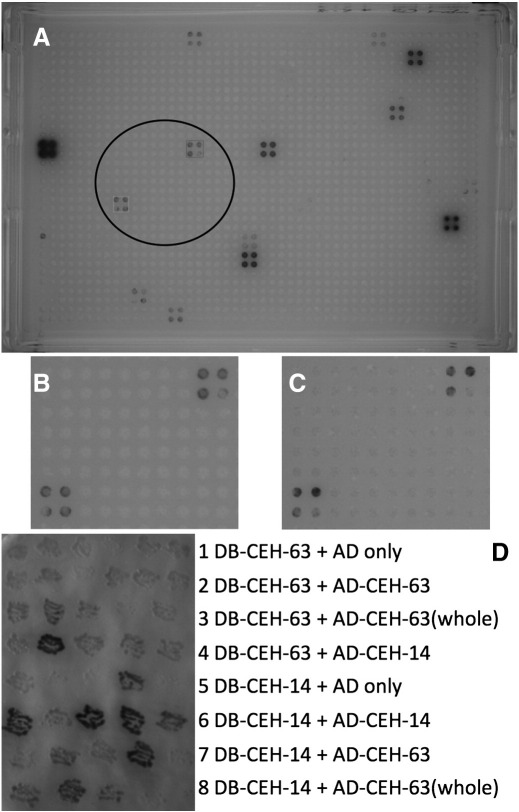 Fig. 6