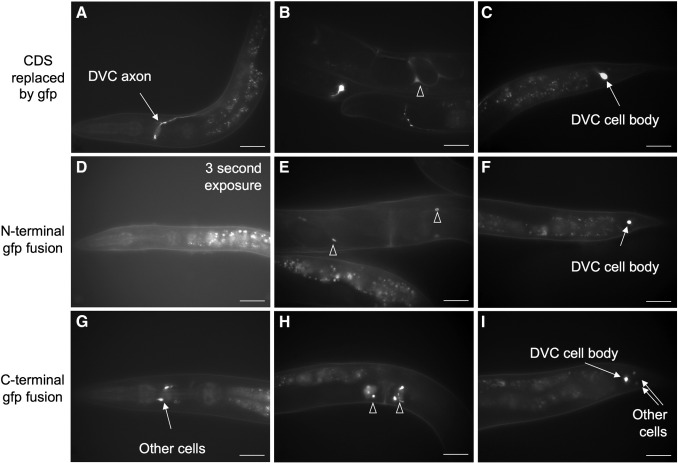 Fig. 3