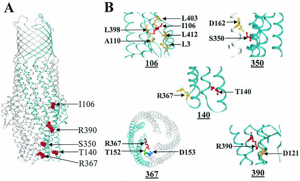 FIG. 1.