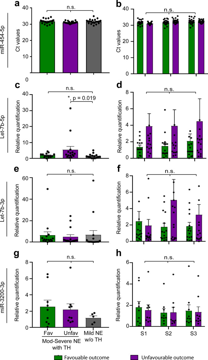 Neuronal let-7b-5p acts through the Hippo-YAP pathway in neonatal ...
