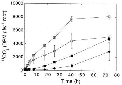 FIG. 5