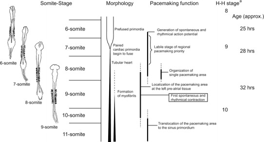 Fig. 5