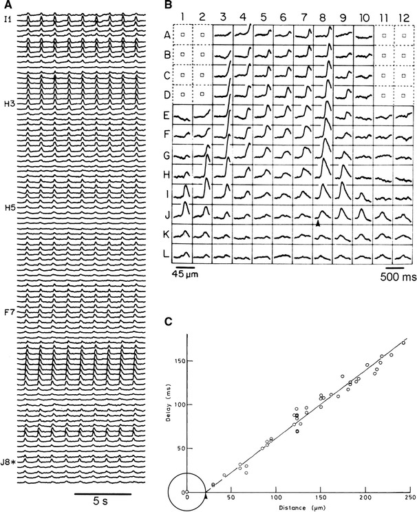 Fig. 3