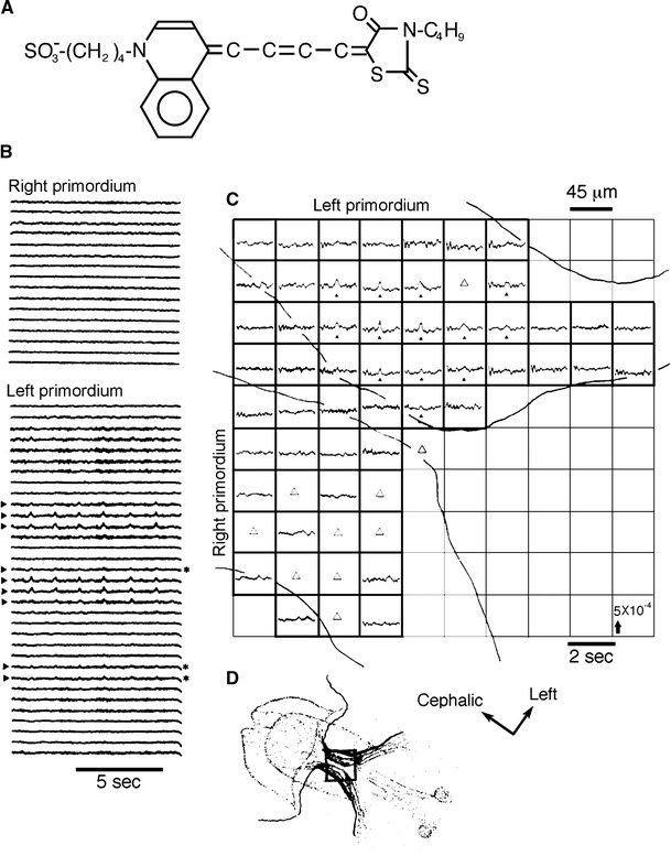 Fig. 2