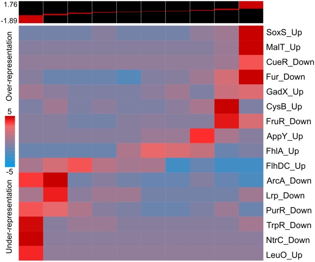 Fig 6