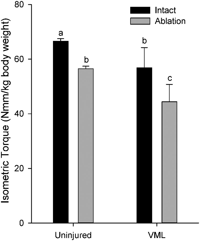 FIG. 5.