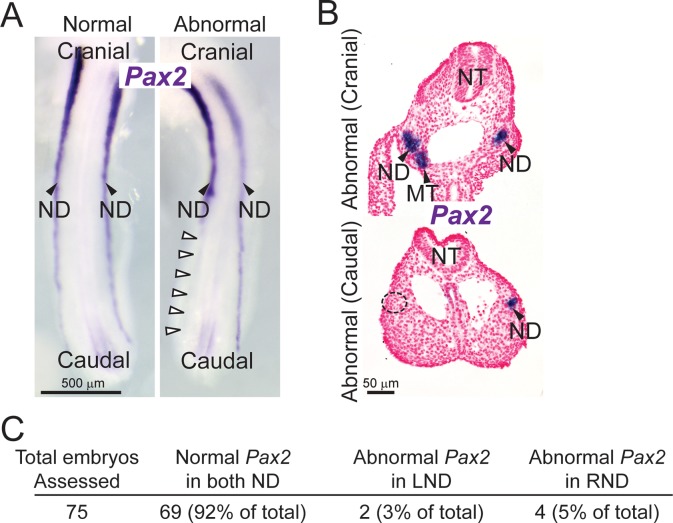 Fig 8