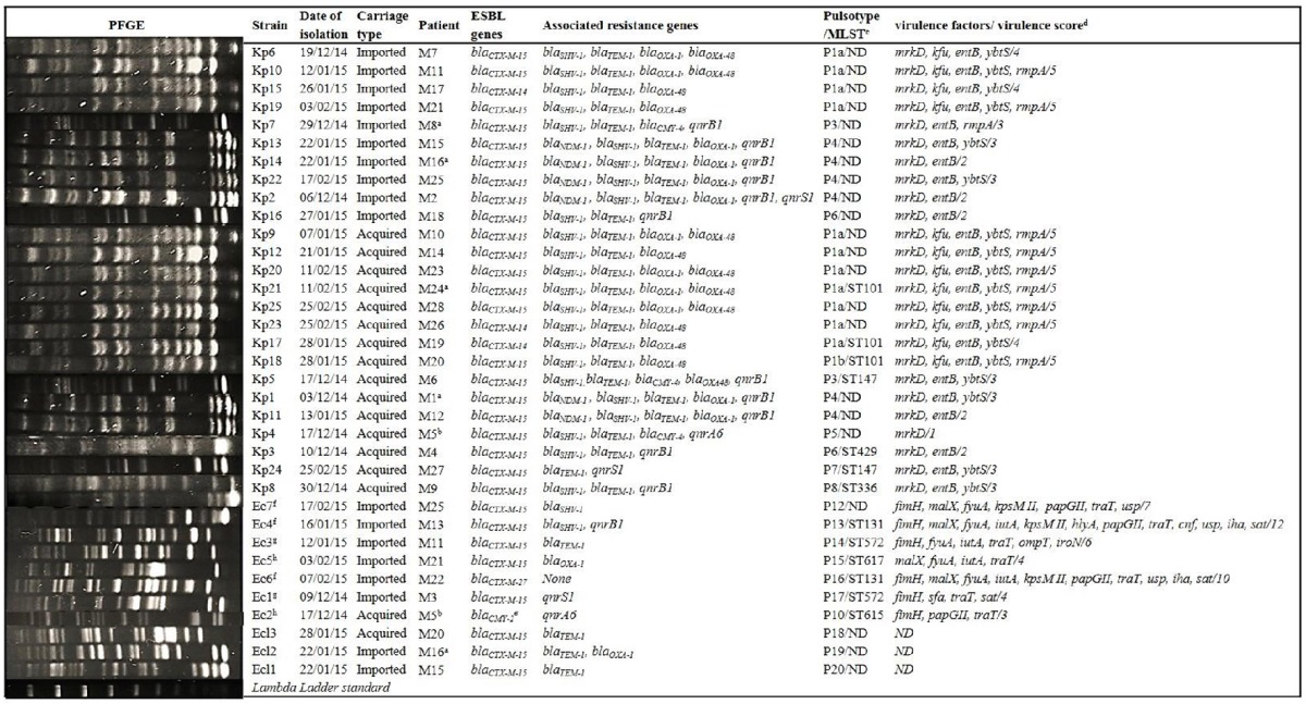 graphic file with name fmicb-07-01859-i0001.jpg