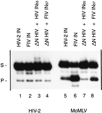 FIG. 6