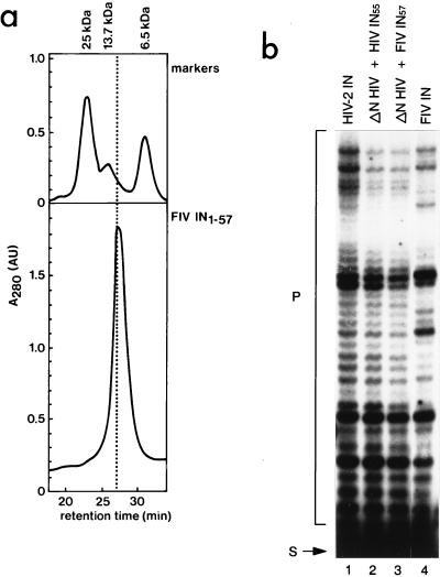 FIG. 5