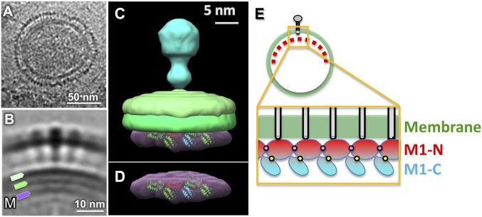 Fig. 4.