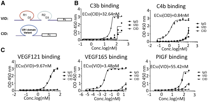 Figure 1