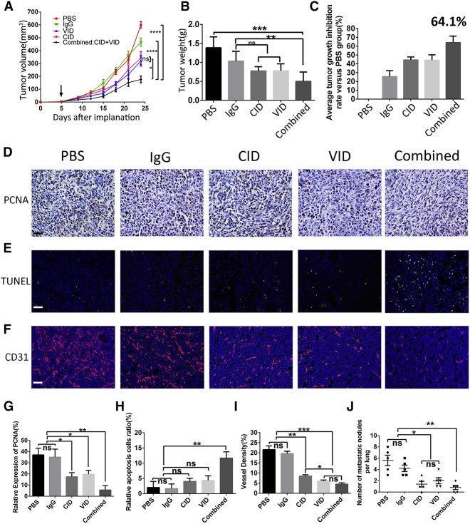 Figure 6