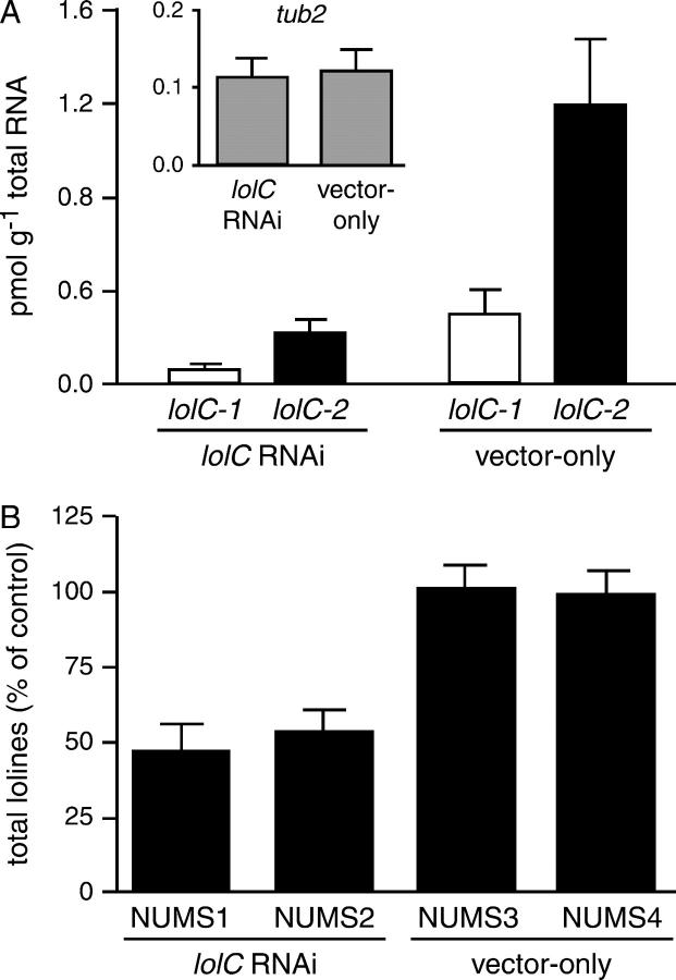 Figure 5.—