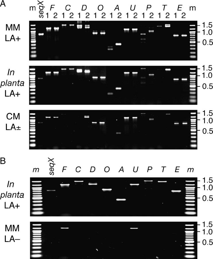 Figure 3.—