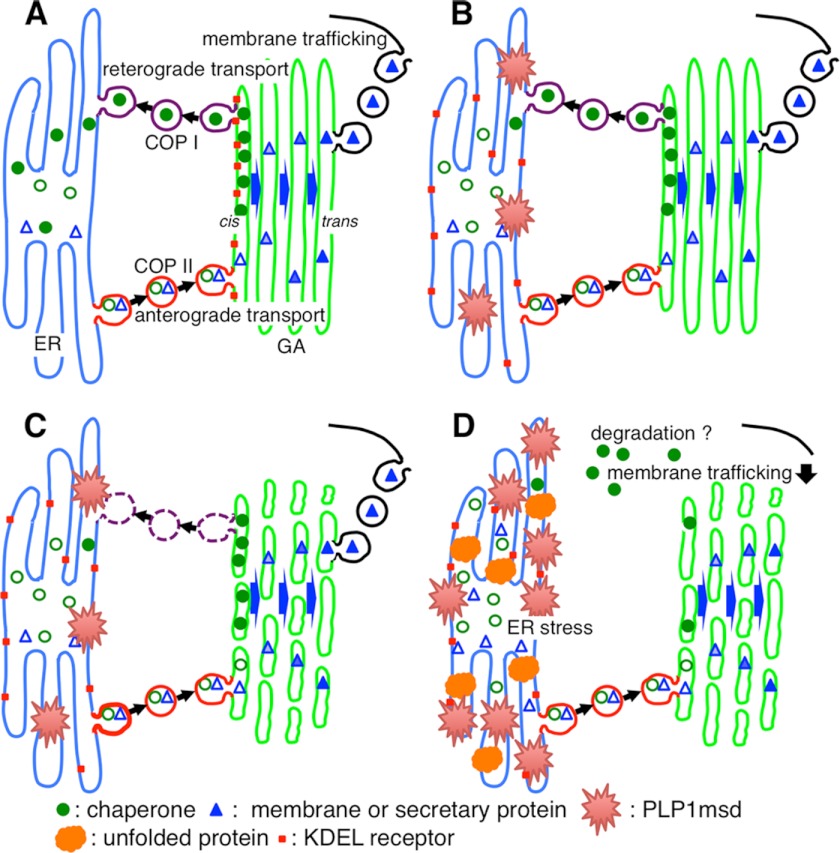 FIGURE 10.