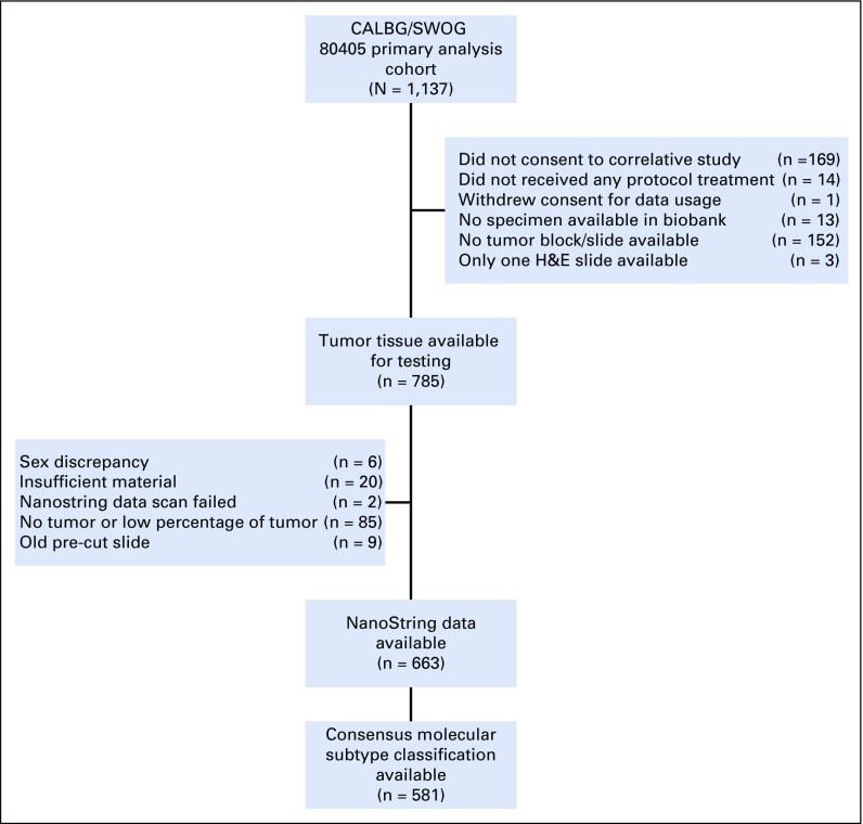 FIG 1.