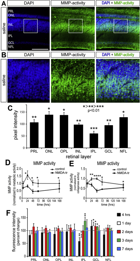 Figure 1: