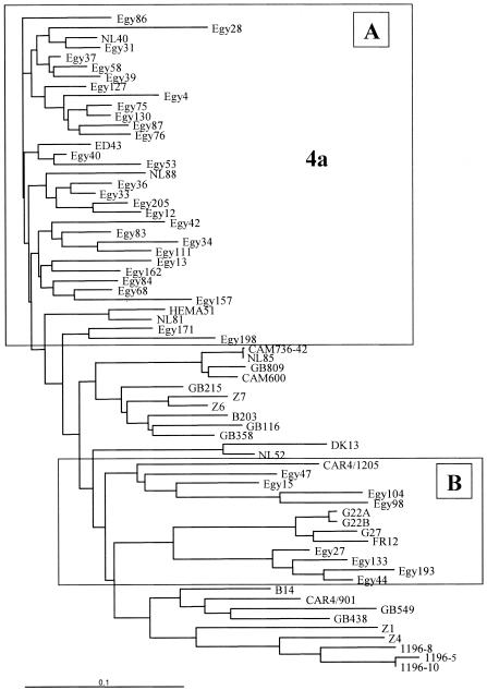 FIG. 1.