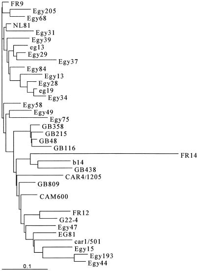 FIG. 2.