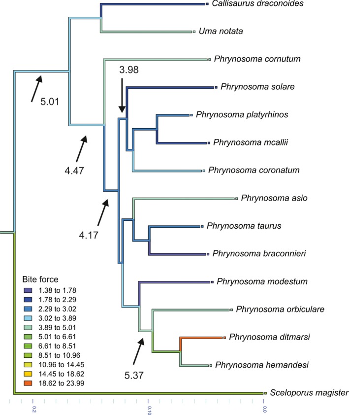 Figure 6