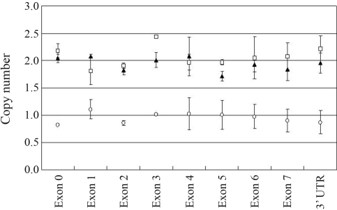 Figure 2-