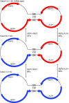 Graphical Abstract Figure.