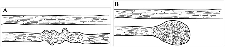 Fig 1.