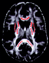 F<sc>ig</sc> 2.