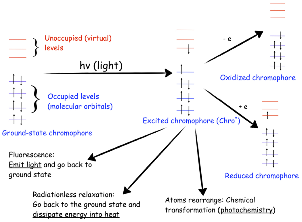 Fig. 2.