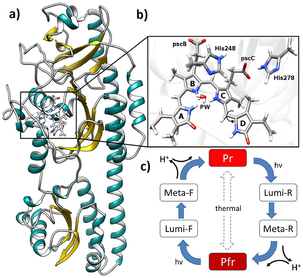 Fig. 8.