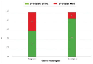 Gráfico 1