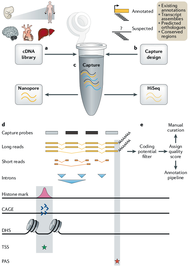 Fig. 4 |