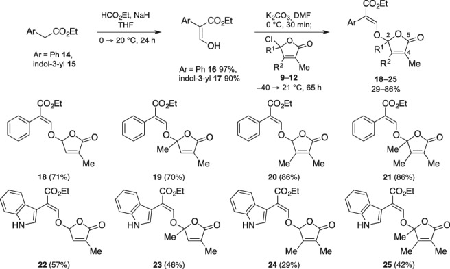 Scheme 2