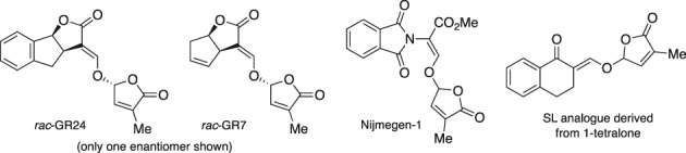 PS-5553-FIG-0002-b