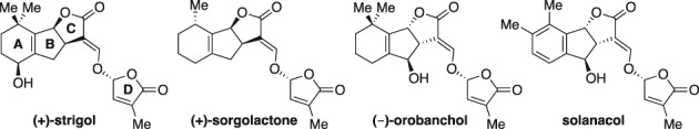 PS-5553-FIG-0001-b