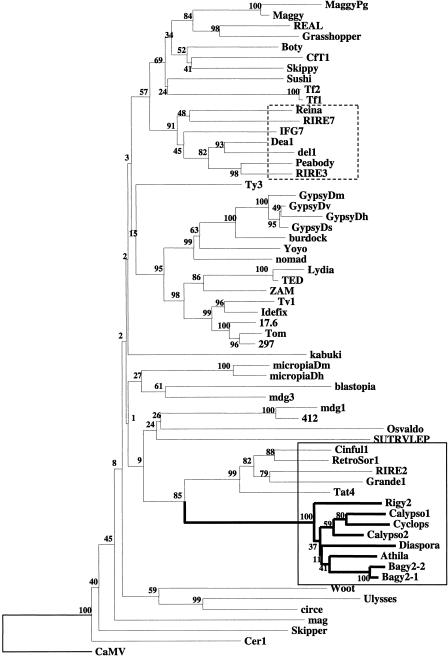 Figure 5