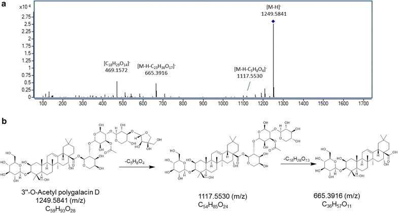 Fig. 7