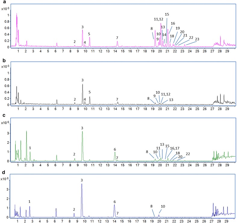 Fig. 1