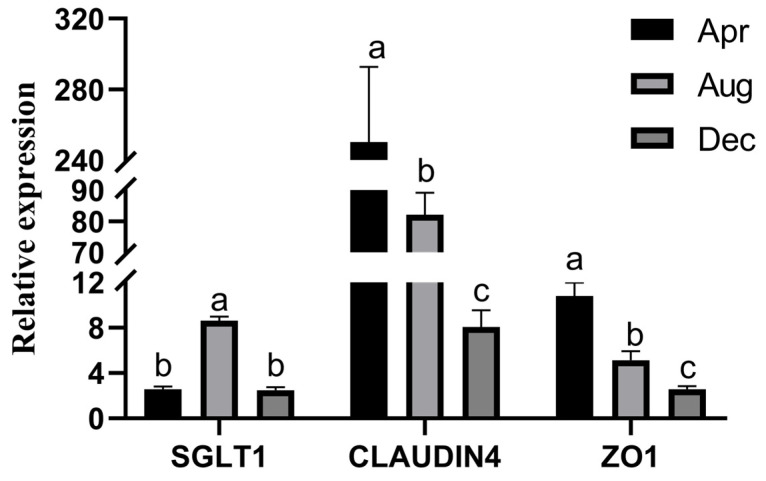 Figure 5