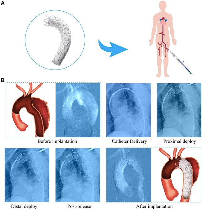 Figure 7.