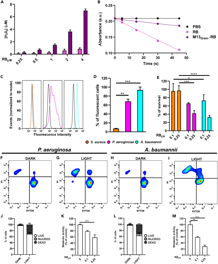 Figure 7